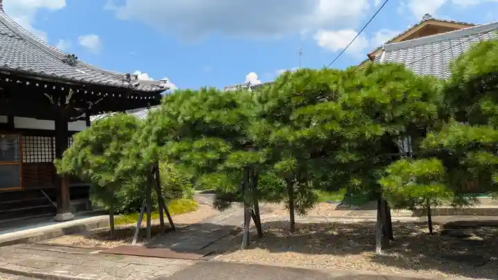 称念寺(京都府)