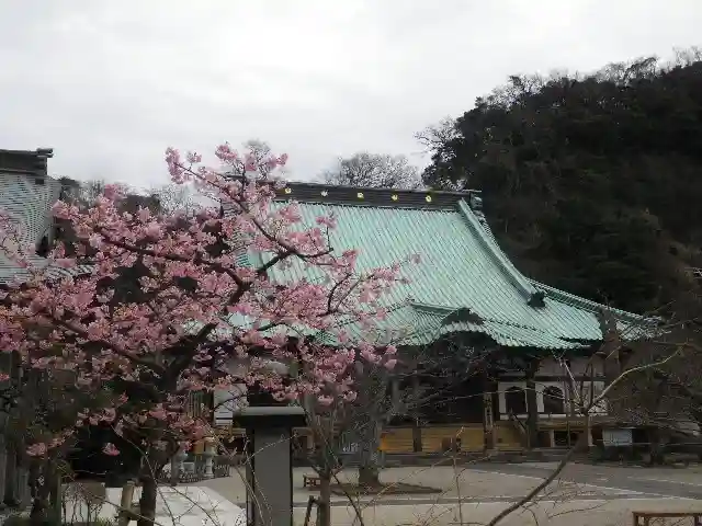 光明寺のその他建物