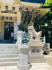 難波八阪神社の狛犬