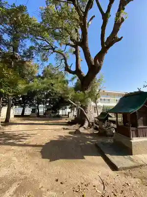 小島神社の自然