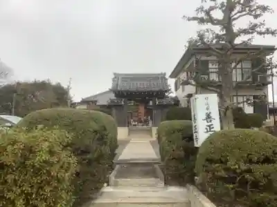 善正寺の山門・神門