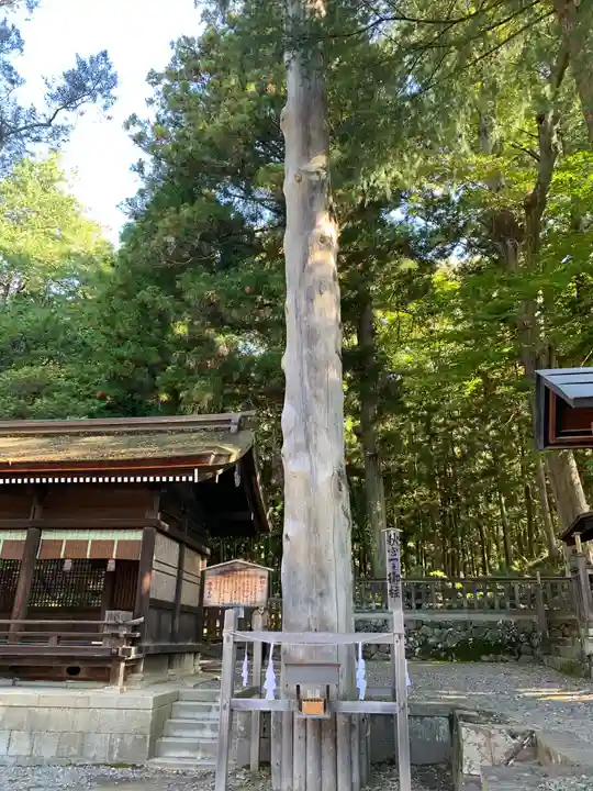 諏訪大社下社秋宮の自然