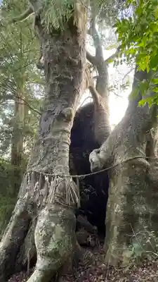 日高見神社(宮城県)