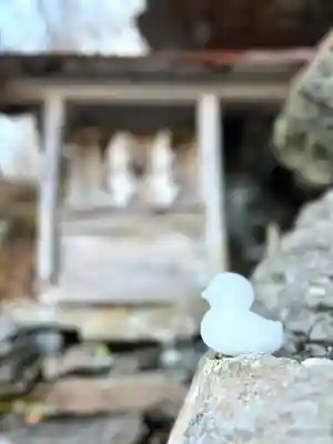 西花童子の自然