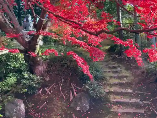 榮攝院（栄摂院）(京都府)