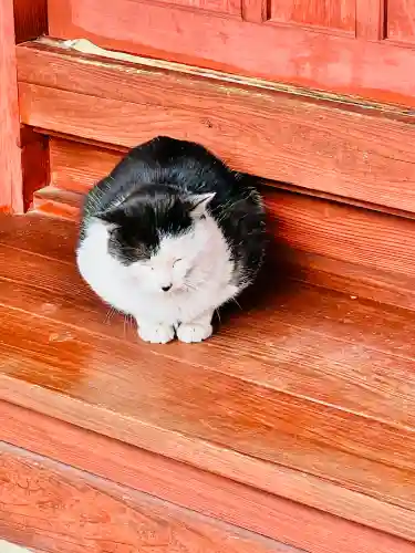 明智寺の{uncategorized: "未分類", other: "その他", undefined: "問題あり", building: "その他建物", grave: "お墓", sacred_gate: "鳥居", guardian: "狛犬", statue: "像", buddha: "仏像", history: "歴史", nature: "自然", garden: "庭園", animal: "動物", pagoda: "塔", temizu: "手水舎", mountain_gate: "山門・神門", sanctuary: "本殿・本堂", subordinate: "末社・摂社", art: "芸術", scenery: "景色", jizo: "地蔵", ema: "絵馬", goshuin: "御朱印", omikuji: "おみくじ", items: "授与品その他", amulet: "お守り", goshuincho: "御朱印帳", eats: "食事", festival: "お祭り", votive_dance: "神楽", shichigosan: "七五三参", wedding: "結婚式", experience: "体験その他", initially: "初詣", around: "周辺", anti_infection: "感染症対策"}