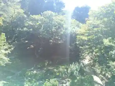 明王院（満願寺別院）(東京都)