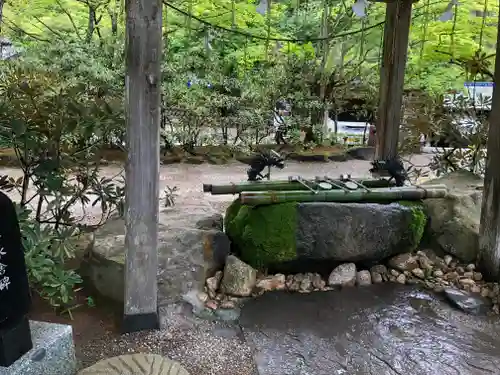 徳善院明王密寺の手水舎