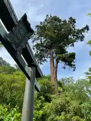 太平山神社(栃木県)