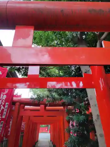 鵠沼伏見稲荷神社の鳥居