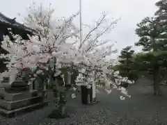 穴太寺(京都府)