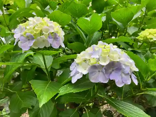 妙楽寺(神奈川県)