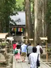 高野山金剛峯寺奥の院(和歌山県)