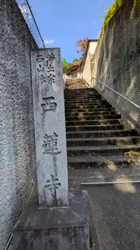 西蓮寺(京都府)