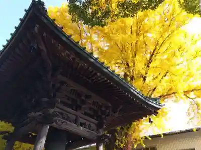 長慶寺(福井県)