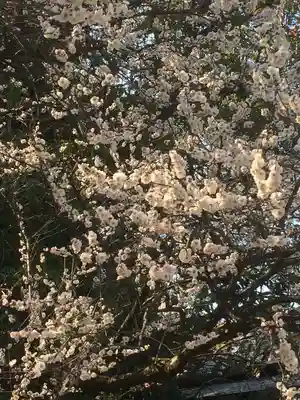 熱田神宮(愛知県)