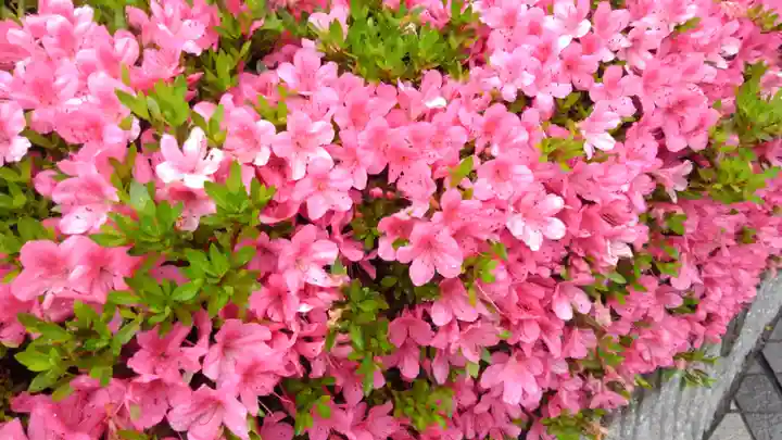 天龍寺(京都府)