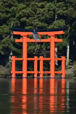箱根神社の鳥居