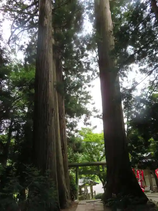 鹿島大神宮(福島県)