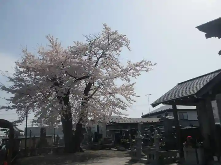 宗青寺(岩手県)