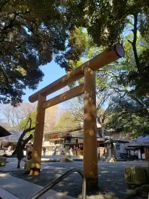 乃木神社の鳥居