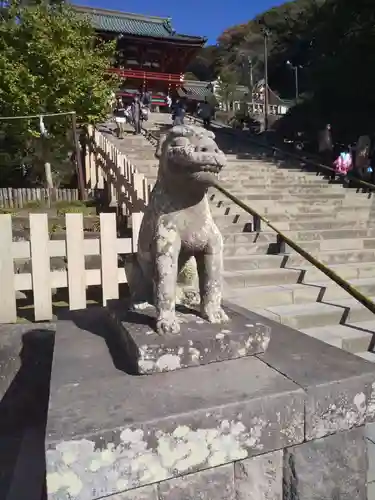 鶴岡八幡宮の狛犬