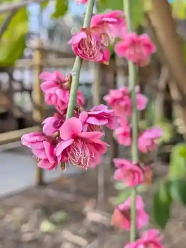 成子天神社(東京都)