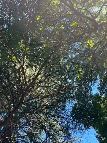 氷川女體神社(埼玉県)