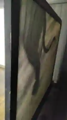 酬恩庵一休寺(京都府)