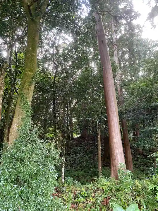粟鹿神社(兵庫県)
