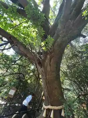 八大龍王水神(宮崎県)