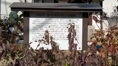 平野の一本松と地蔵堂（十王堂跡）(兵庫県)