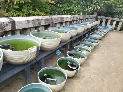 おふさ観音（観音寺）(奈良県)