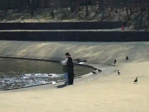 三毳不動尊(栃木県)