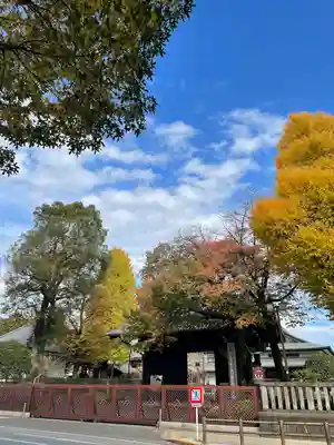 輪王寺両大師堂(寛永寺輪王殿)(東京都)