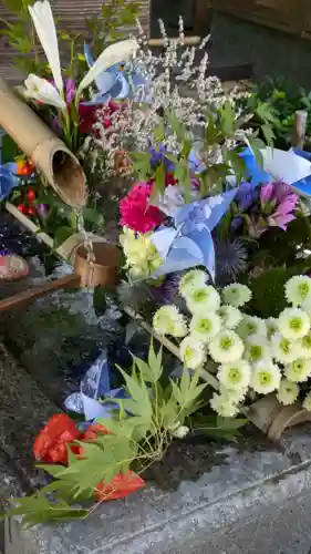 勝林寺(京都府)