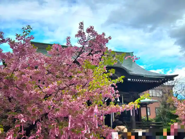 桜神宮(東京都)