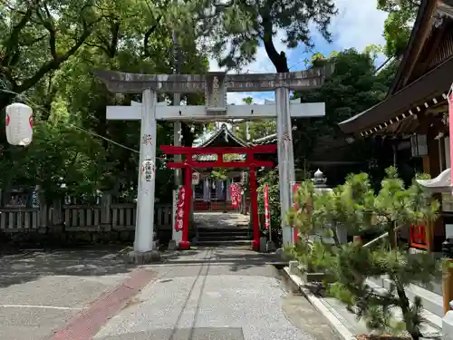 高知八幡宮(高知県)
