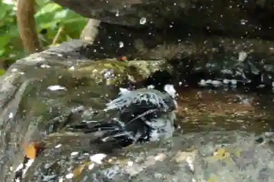 海龍王寺(奈良県)