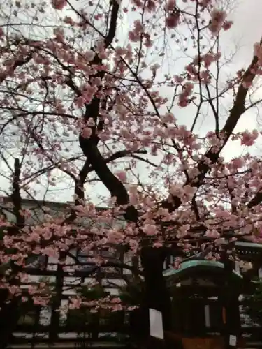 靖國神社(東京都)