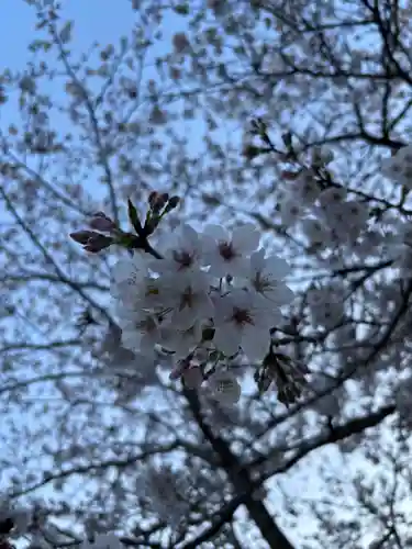 二兒神社(福岡県)