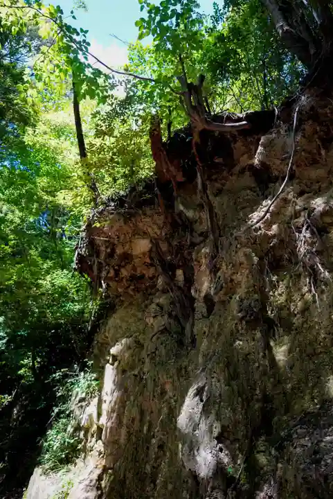 二井寺山極楽寺の周辺