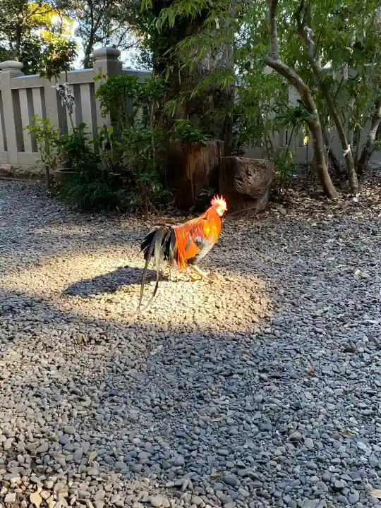 大甕神社(茨城県)