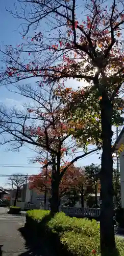 蒲原神社の自然