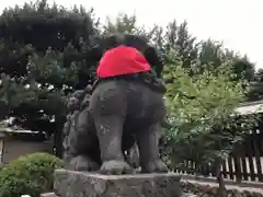 札幌護國神社の狛犬