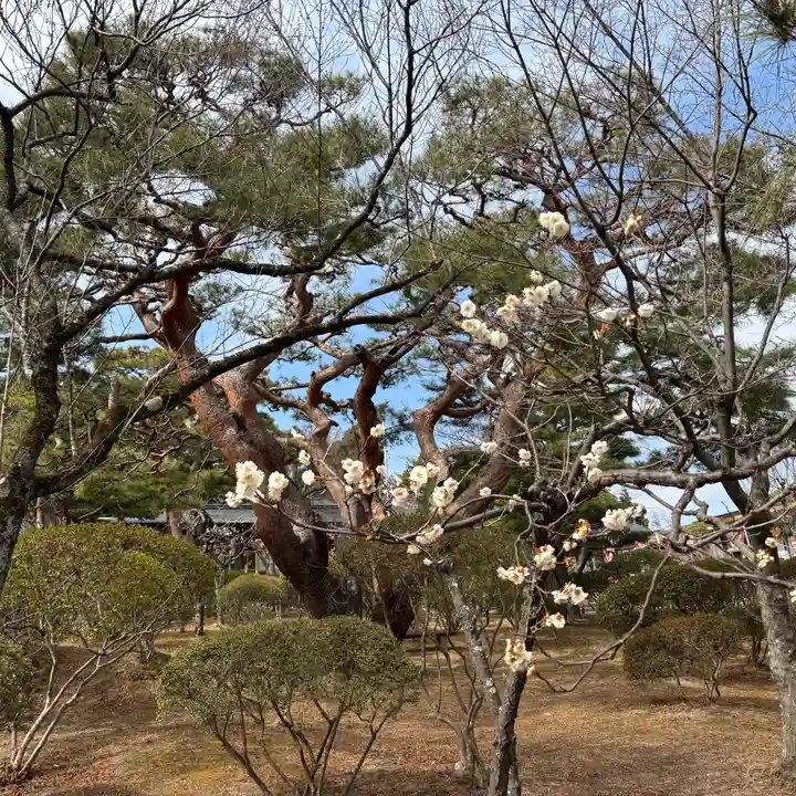 開成山大神宮(福島県)