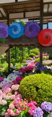楽法寺（雨引観音）(茨城県)