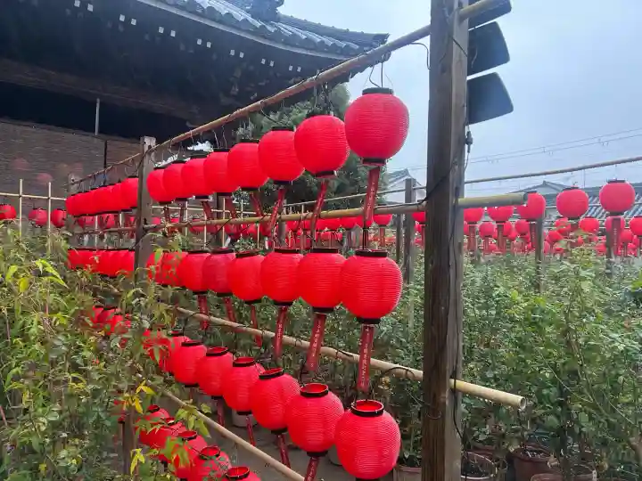 おふさ観音(観音寺)(奈良県)