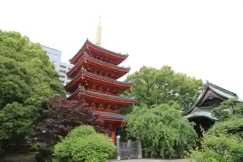 東長寺の塔