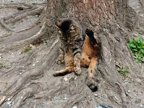 小野照崎神社の動物